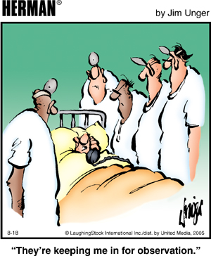 herman